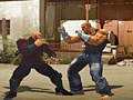 游戏The Perfect Fighter