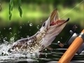 游戏Morning catch