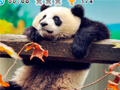 游戏Animal Habitats: Find Items