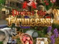 游戏Protect the Princess