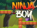 游戏Ninja Boy