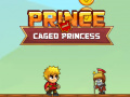 游戏Prince and Caged Princess  