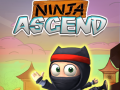 游戏Ninja Ascend