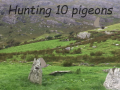 游戏Pigeons Hunting