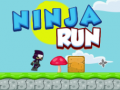 游戏Ninja Run 