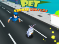 游戏Pet Subway Surfers