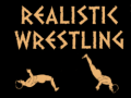 游戏Realistic wrestling