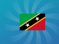 游戏Guess The Flag