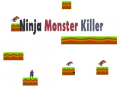 游戏Ninja Monster Killer
