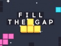 游戏Fill the Gap