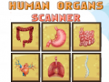 游戏Human Organs Scanner