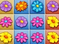 游戏Blossom Garden Crush