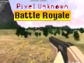 游戏Pixel Unknown Battle Royale