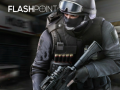 游戏Flashpoint