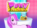 游戏Pony Pet Salon