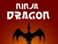 游戏Ninja Dragon