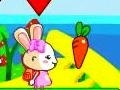 游戏Brother and sister rabbits