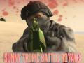 游戏Sunny Tropic Battle Royale