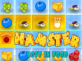 游戏Hamster Lost In Food