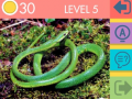 游戏15 Picture Quiz