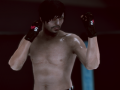 游戏MFS: MMA Fighter