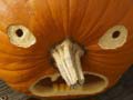 游戏5 in 1 Picture Puzzle: Halloween