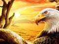 游戏Eagle