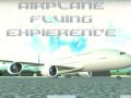 游戏Airplane Flying Expierence