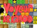 游戏Voyeur arkanoid