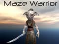 游戏Maze Warrior