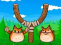 游戏Shot The Angry Cat