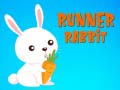 游戏Runner Rabbit