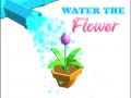 游戏Water The Flower
