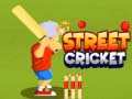 游戏Street Cricket