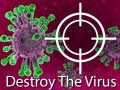 游戏Destroy The Virus