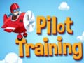 游戏Pilot Training