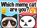 游戏Which Meme Cat Are You?