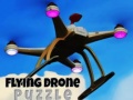 游戏Flying Drone Puzzle
