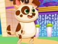 游戏Lovely Virtual Dog