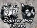 游戏Courier Boy Escape