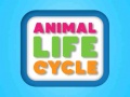 游戏Animal Life Cycle