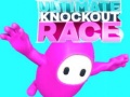 游戏Ultimate Knockout Race