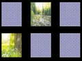 游戏Nature Memory