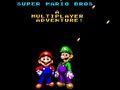游戏Super Mario Bros: A Multiplayer Adventure