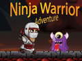 游戏Ninja Warrior Adventure