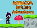 游戏Ninja Run Adventures