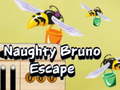 游戏Naughty Bruno Escape