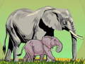 游戏Wild Animals and Their Babies
