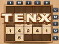 游戏TENX