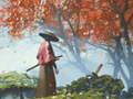 游戏Samurai Reflexion